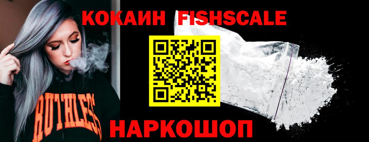 Рузаевка  где купить наркотик  Вход с VPN  COCAIN Fish Scale  Cocaine 