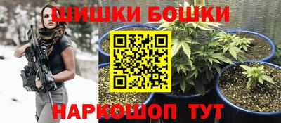 гашик Нарткала